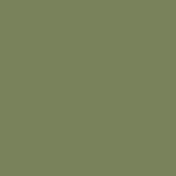Khaki 09